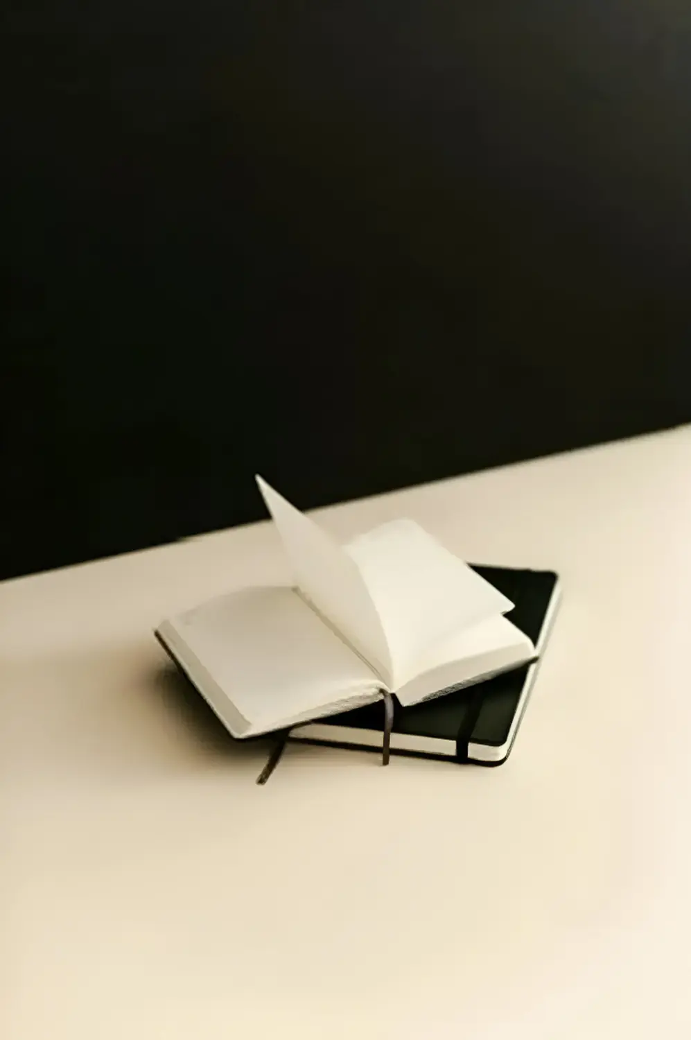 HS Heidi Schimmel – Hypnose-Expertin – Notizbücher auf dem Tisch